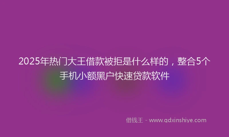 2025年热门大王借款被拒是什么样的，整合5个手机小额黑户快速贷款软件