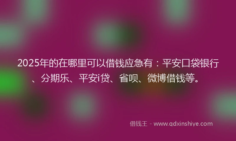 2025年的在哪里可以借钱应急有：平安口袋银行、分期乐、平安i贷、省呗、微博借钱等。