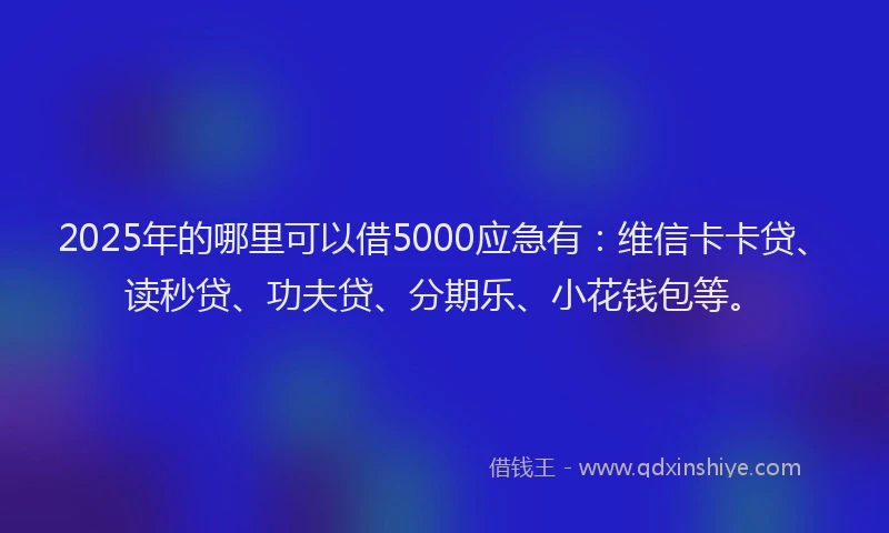 2025年的哪里可以借5000应急有：维信卡卡贷、读秒贷、功夫贷、分期乐、小花钱包等。