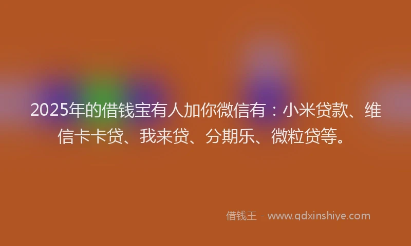 2025年的借钱宝有人加你微信有：小米贷款、维信卡卡贷、我来贷、分期乐、微粒贷等。