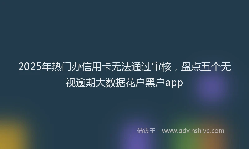 2025年热门办信用卡无法通过审核，盘点五个无视逾期大数据花户黑户app