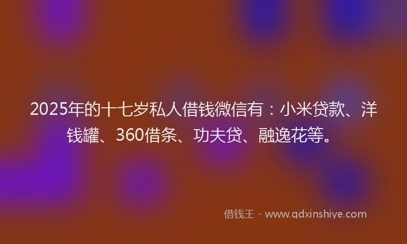 2025年的十七岁私人借钱微信有：小米贷款、洋钱罐、360借条、功夫贷、融逸花等。