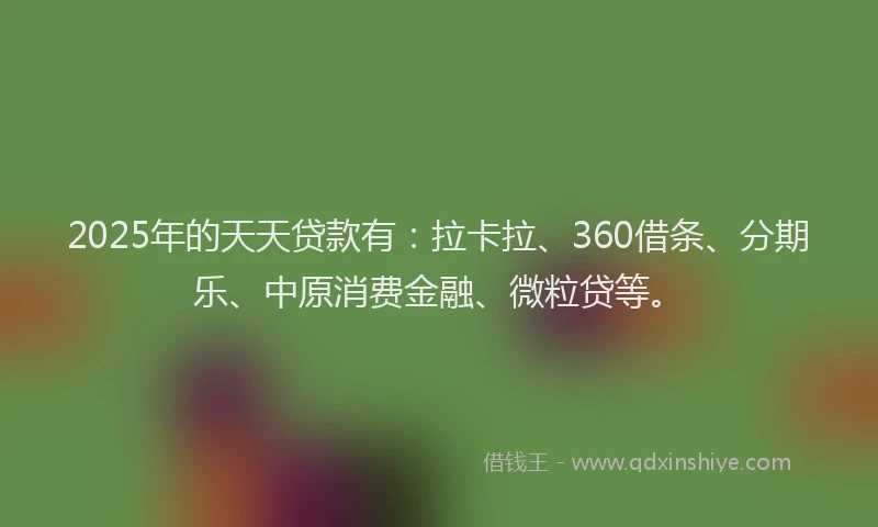 2025年的天天贷款有：拉卡拉、360借条、分期乐、中原消费金融、微粒贷等。