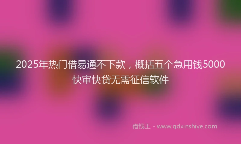 2025年热门借易通不下款，概括五个急用钱5000快审快贷无需征信软件