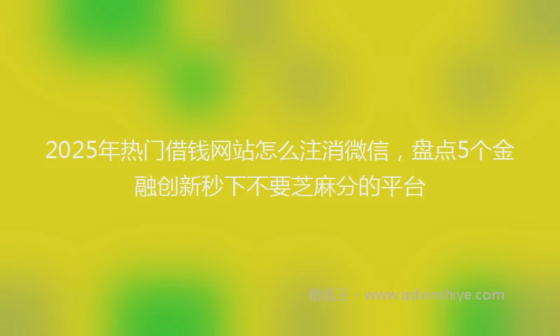 2025年热门借钱网站怎么注消微信，盘点5个金融创新秒下不要芝麻分的平台