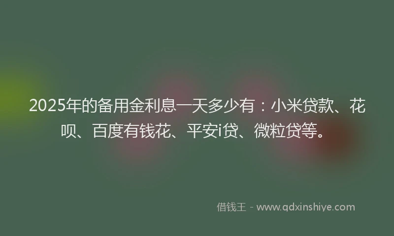 2025年的备用金利息一天多少有：小米贷款、花呗、百度有钱花、平安i贷、微粒贷等。