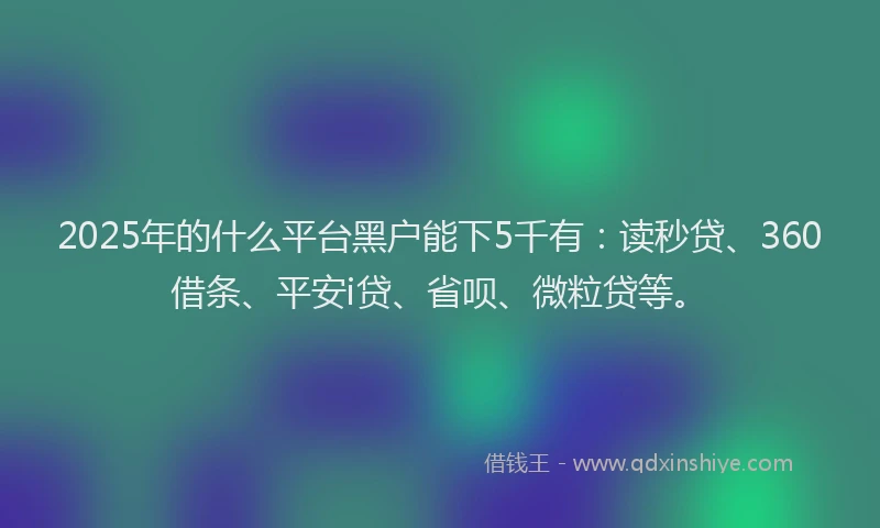 2025年的什么平台黑户能下5千有：读秒贷、360借条、平安i贷、省呗、微粒贷等。