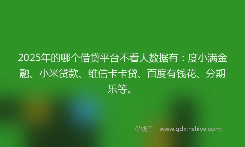 2025年的哪个借贷平台不看大数据有：度小满金融、小米贷款、维信卡卡贷、百度有钱花、分期乐等。