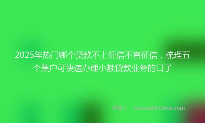 2025年热门哪个贷款不上征信不查征信，梳理五个黑户可快速办理小额贷款业务的口子