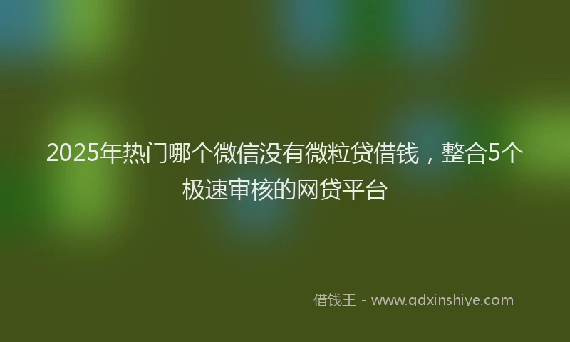 2025年热门哪个微信没有微粒贷借钱，整合5个极速审核的网贷平台