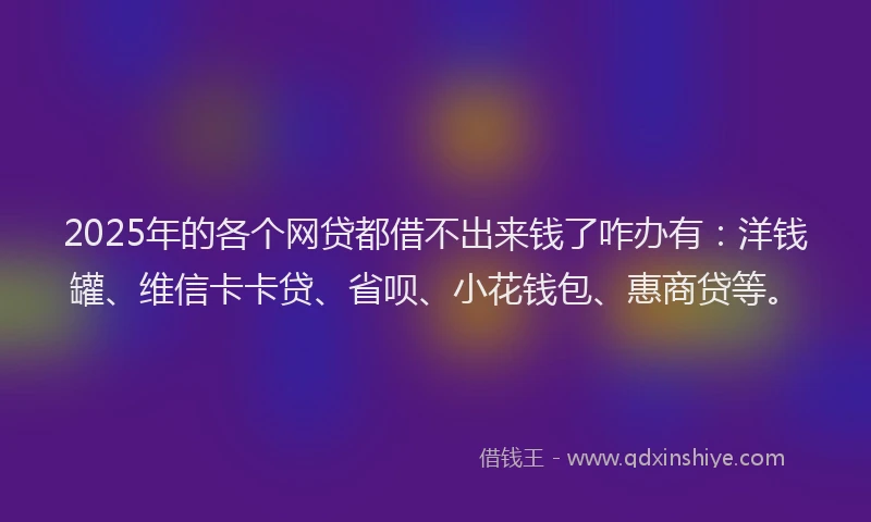 2025年的各个网贷都借不出来钱了咋办有：洋钱罐、维信卡卡贷、省呗、小花钱包、惠商贷等。