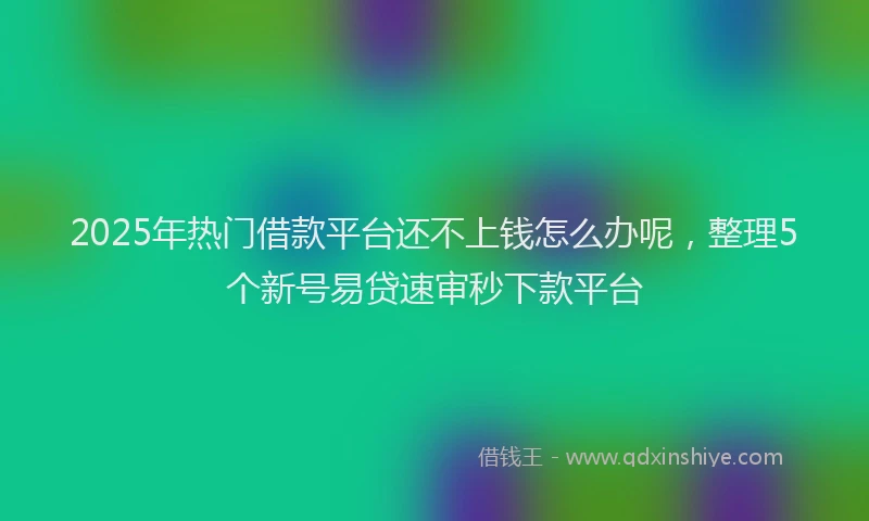 2025年热门借款平台还不上钱怎么办呢，整理5个新号易贷速审秒下款平台
