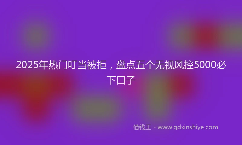 2025年热门叮当被拒，盘点五个无视风控5000必下口子