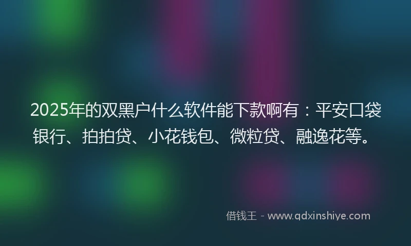 2025年的双黑户什么软件能下款啊有：平安口袋银行、拍拍贷、小花钱包、微粒贷、融逸花等。