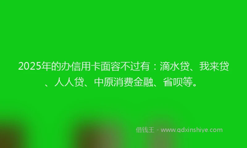 2025年的办信用卡面容不过有：滴水贷、我来贷、人人贷、中原消费金融、省呗等。