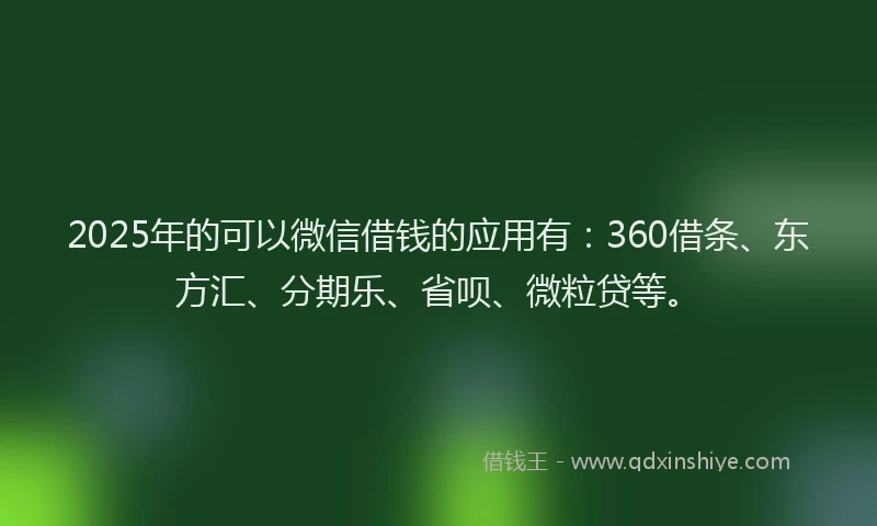 2025年的可以微信借钱的应用有：360借条、东方汇、分期乐、省呗、微粒贷等。