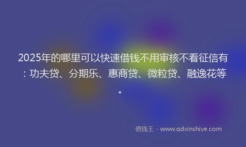 2025年的哪里可以快速借钱不用审核不看征信有：功夫贷、分期乐、惠商贷、微粒贷、融逸花等。
