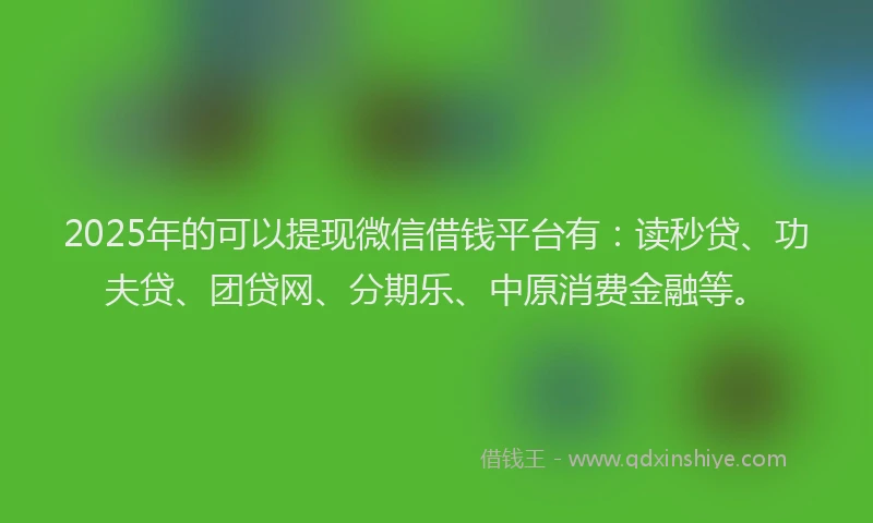 2025年的可以提现微信借钱平台有：读秒贷、功夫贷、团贷网、分期乐、中原消费金融等。