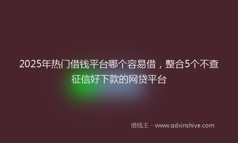 2025年热门借钱平台哪个容易借，整合5个不查征信好下款的网贷平台