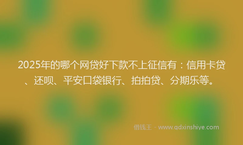 2025年的哪个网贷好下款不上征信有：信用卡贷、还呗、平安口袋银行、拍拍贷、分期乐等。