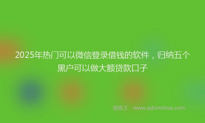 2025年热门可以微信登录借钱的软件，归纳五个黑户可以做大额贷款口子