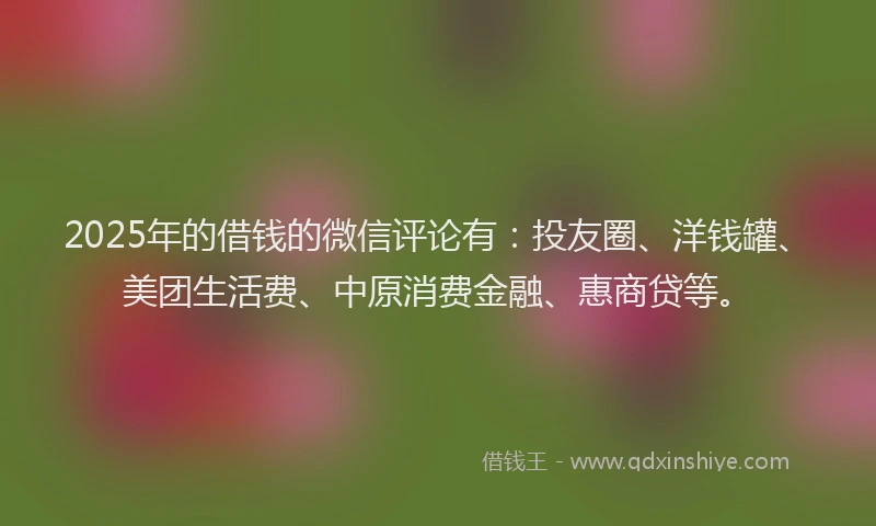 2025年的借钱的微信评论有：投友圈、洋钱罐、美团生活费、中原消费金融、惠商贷等。