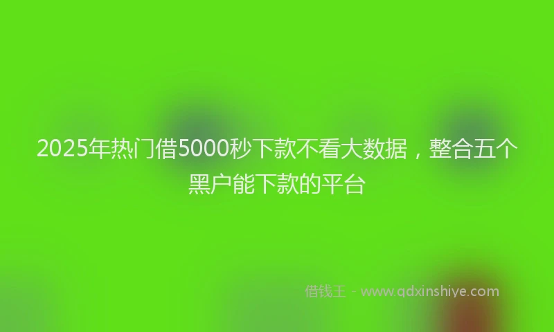2025年热门借5000秒下款不看大数据，整合五个黑户能下款的平台