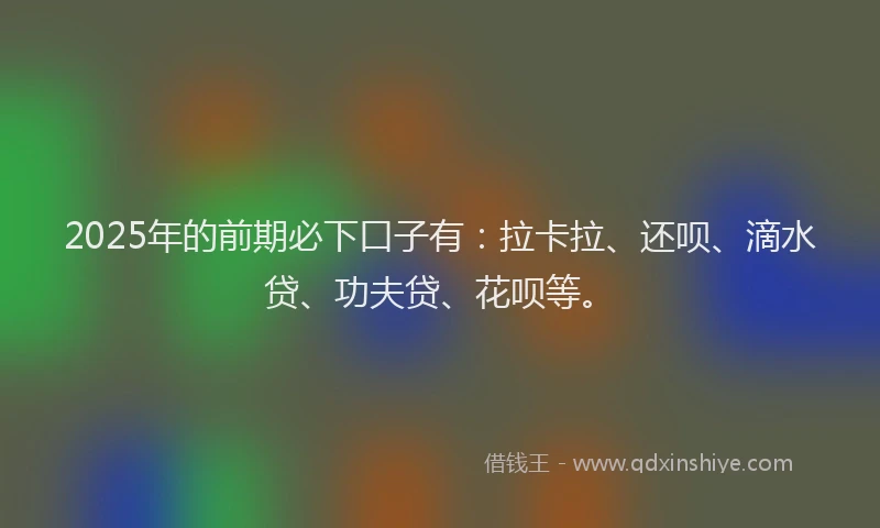 2025年的前期必下口子有：拉卡拉、还呗、滴水贷、功夫贷、花呗等。