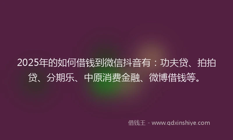 2025年的如何借钱到微信抖音有：功夫贷、拍拍贷、分期乐、中原消费金融、微博借钱等。
