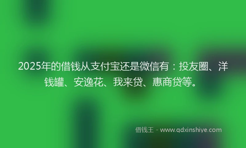 2025年的借钱从支付宝还是微信有：投友圈、洋钱罐、安逸花、我来贷、惠商贷等。