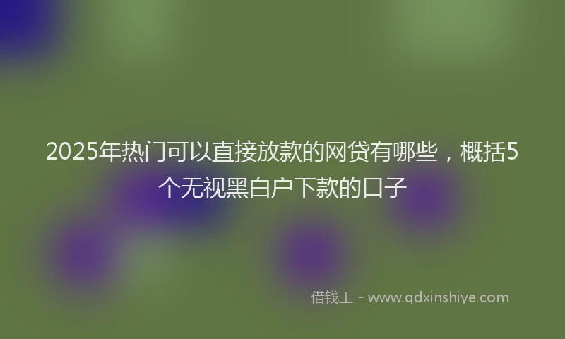 2025年热门可以直接放款的网贷有哪些，概括5个无视黑白户下款的口子
