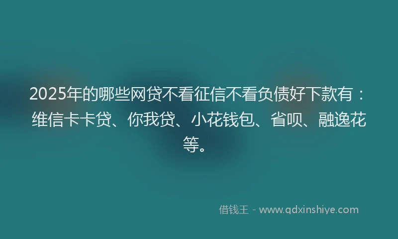 2025年的哪些网贷不看征信不看负债好下款有：维信卡卡贷、你我贷、小花钱包、省呗、融逸花等。