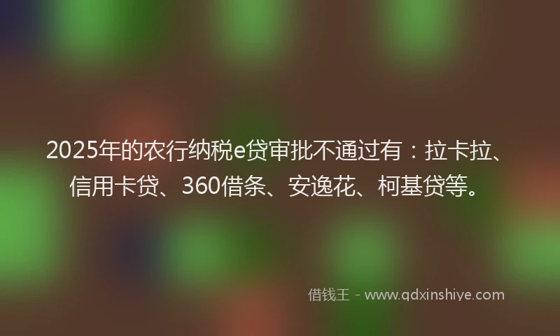 2025年的农行纳税e贷审批不通过有：拉卡拉、信用卡贷、360借条、安逸花、柯基贷等。