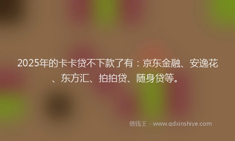 2025年的卡卡贷不下款了有：京东金融、安逸花、东方汇、拍拍贷、随身贷等。