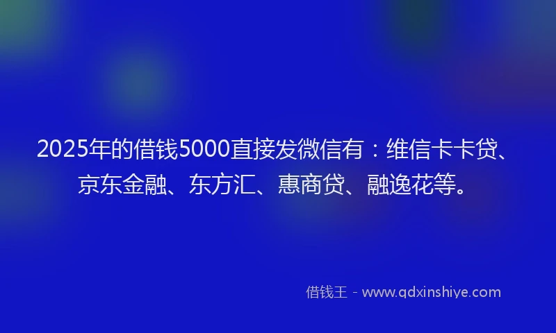 2025年的借钱5000直接发微信有:维信卡卡贷、京东金融、东方汇、惠商贷、融逸花等。