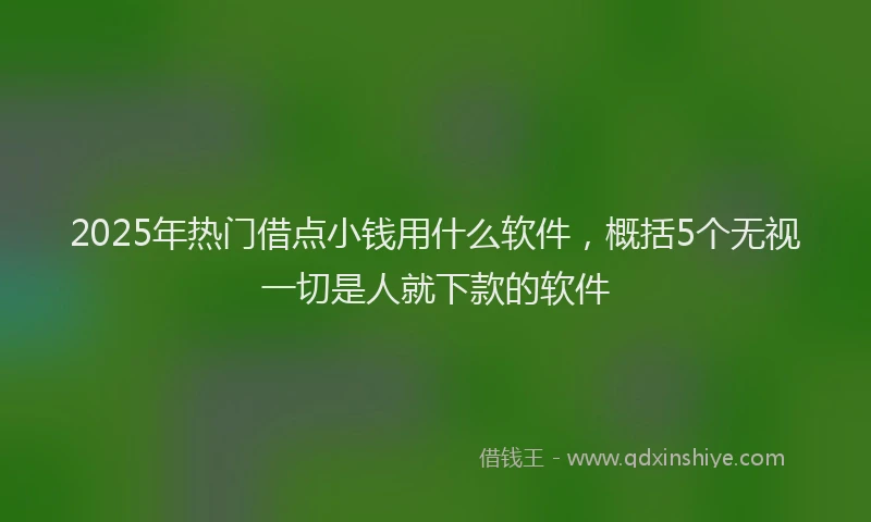 2025年热门借点小钱用什么软件，概括5个无视一切是人就下款的软件