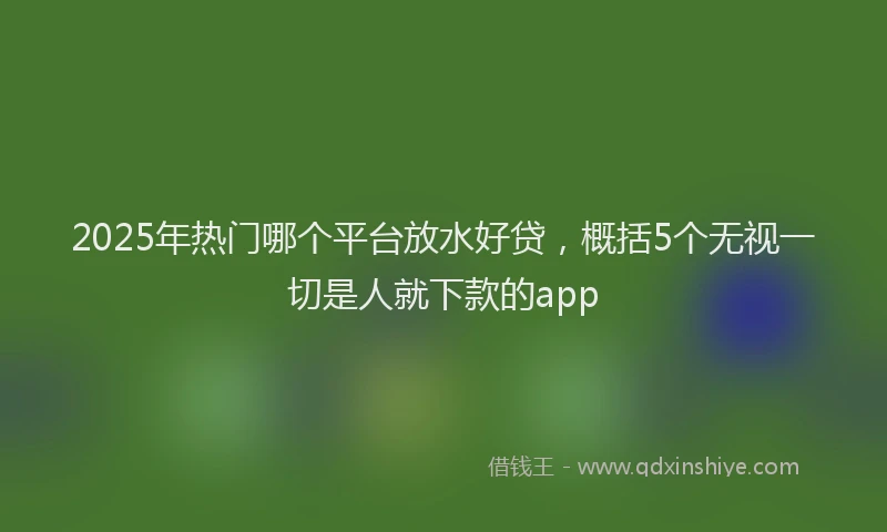 2025年热门哪个平台放水好贷，概括5个无视一切是人就下款的app