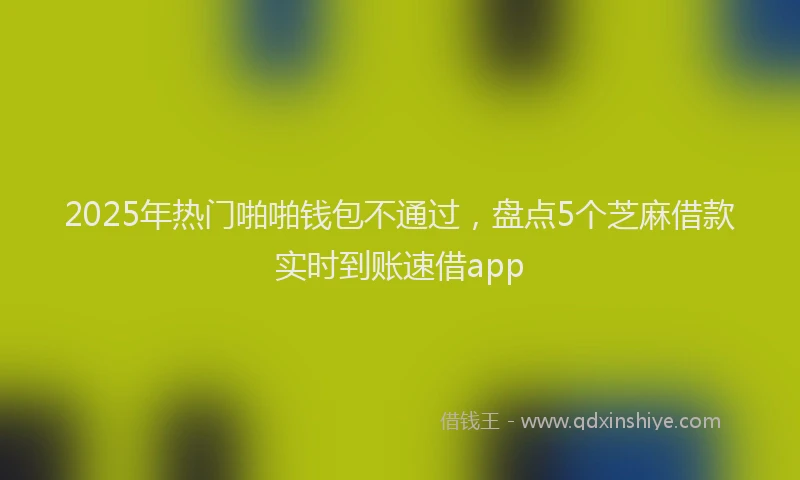 2025年热门啪啪钱包不通过，盘点5个芝麻借款实时到账速借app