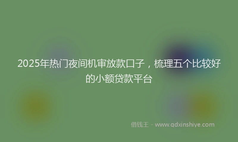 2025年热门夜间机审放款口子，梳理五个比较好的小额贷款平台