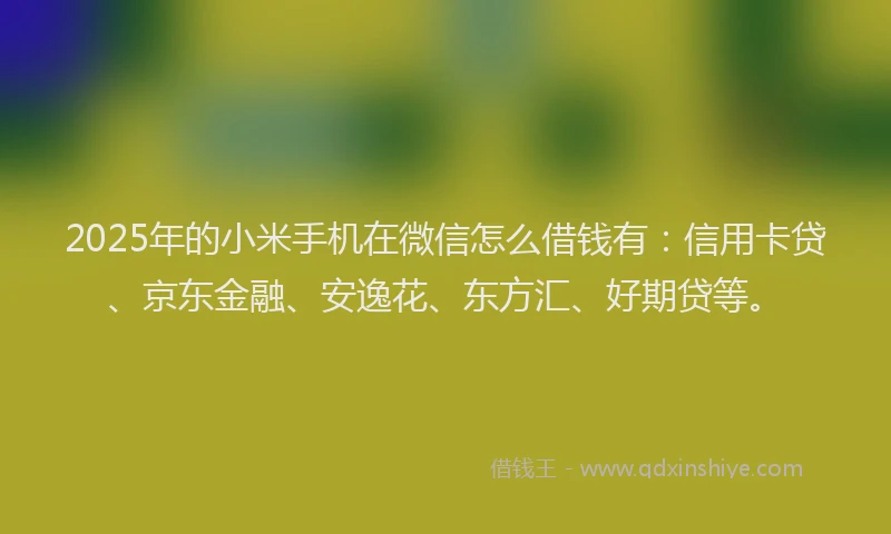 2025年的小米手机在微信怎么借钱有：信用卡贷、京东金融、安逸花、东方汇、好期贷等。