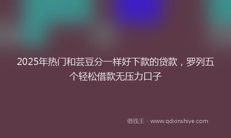 2025年热门和芸豆分一样好下款的贷款，罗列五个轻松借款无压力口子