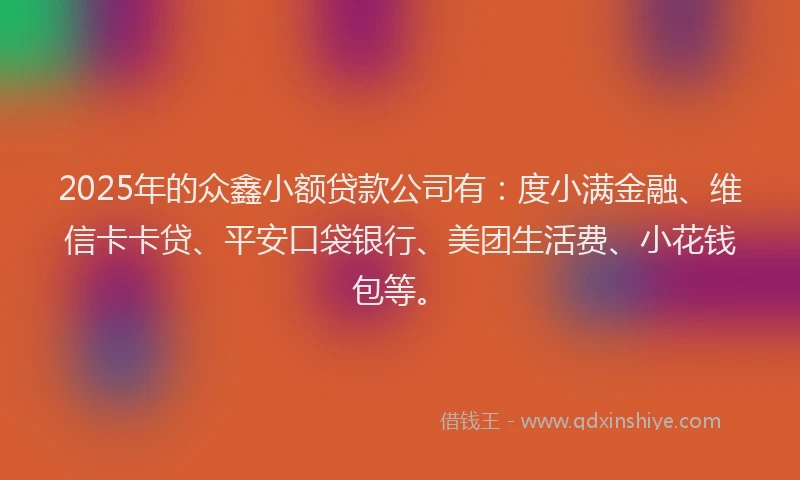 2025年的众鑫小额贷款公司有：度小满金融、维信卡卡贷、平安口袋银行、美团生活费、小花钱包等。