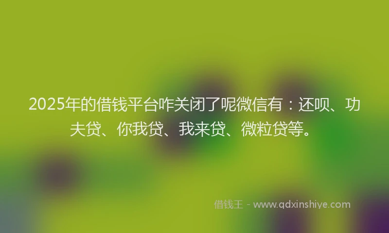 2025年的借钱平台咋关闭了呢微信有：还呗、功夫贷、你我贷、我来贷、微粒贷等。