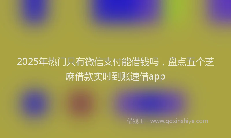 2025年热门只有微信支付能借钱吗，盘点五个芝麻借款实时到账速借app