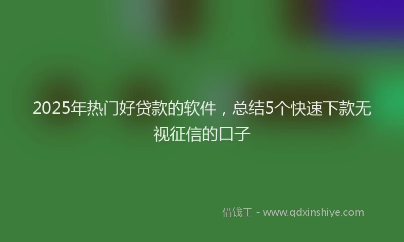 2025年热门好贷款的软件，总结5个快速下款无视征信的口子