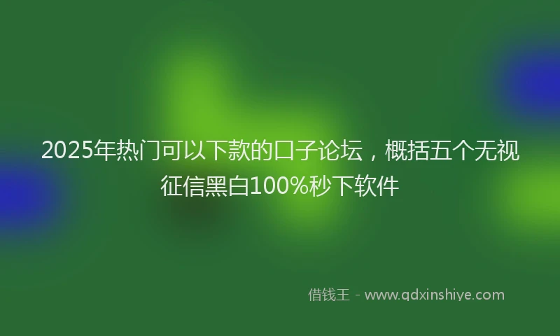 2025年热门可以下款的口子论坛，概括五个无视征信黑白100%秒下软件
