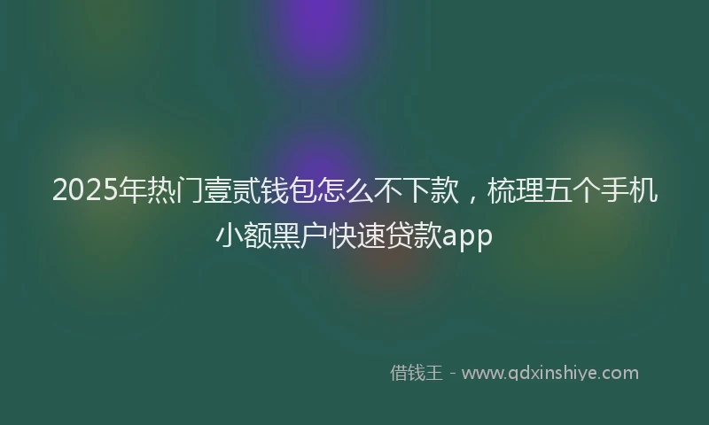 2025年热门壹贰钱包怎么不下款，梳理五个手机小额黑户快速贷款app