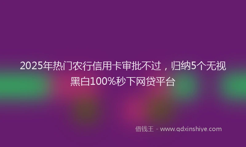2025年热门农行信用卡审批不过，归纳5个无视黑白100%秒下网贷平台