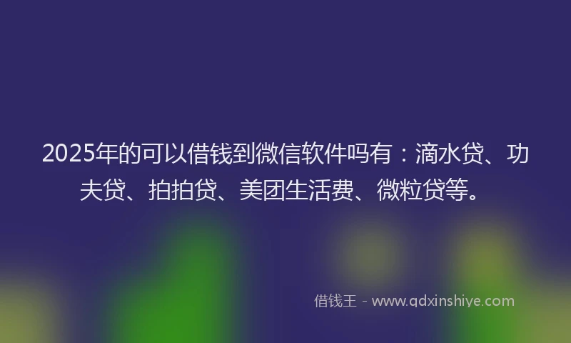 2025年的可以借钱到微信软件吗有：滴水贷、功夫贷、拍拍贷、美团生活费、微粒贷等。