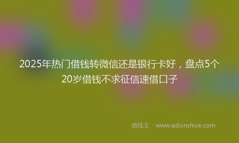 2025年热门借钱转微信还是银行卡好，盘点5个20岁借钱不求征信速借口子